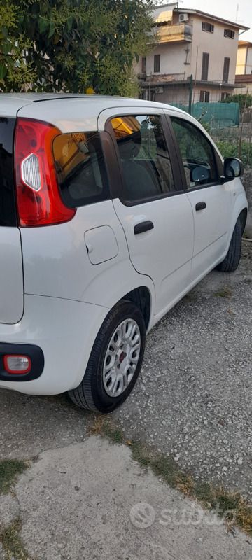 Usata Fiat Panda 75 CV (55 kW) 2017 Bianco Utilitaria