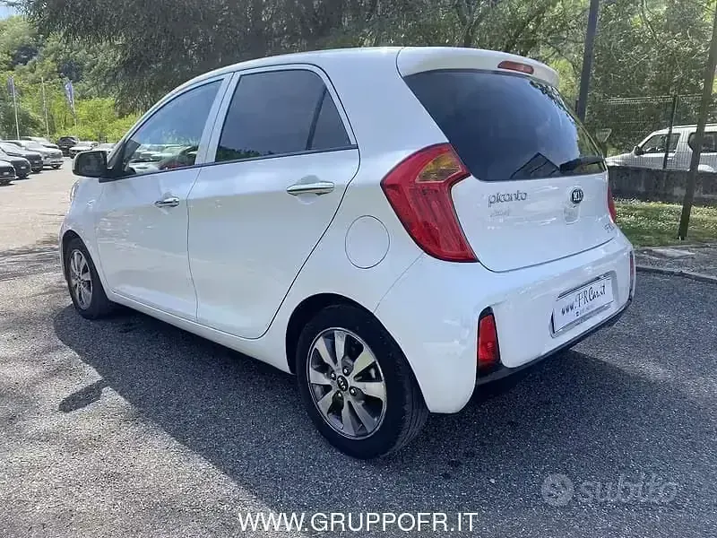 Usata Kia Picanto Active 68 CV (50 kW) 2017 Bianco Utilitaria