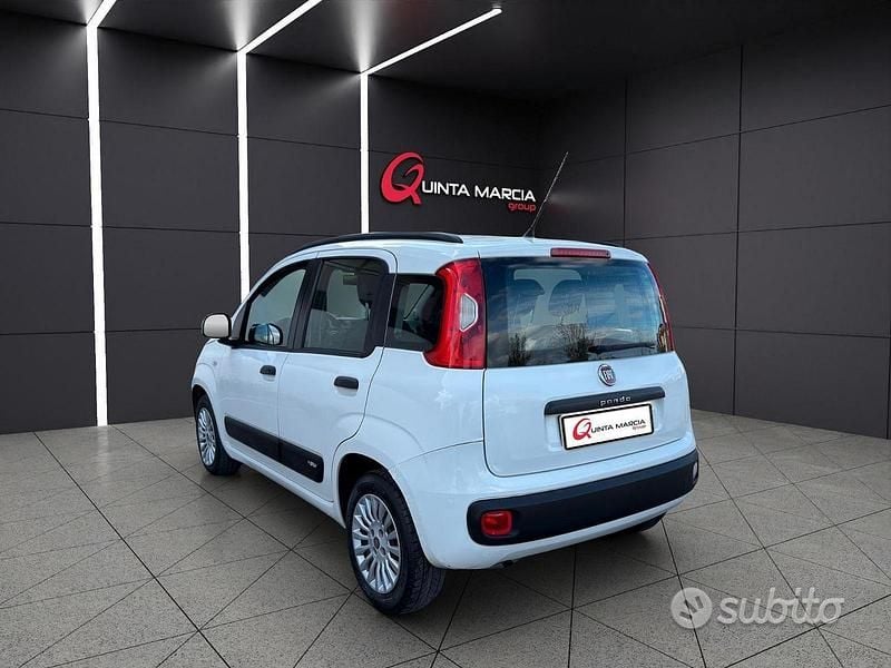 Usata Fiat Panda Easy 69 CV (50 kW) 2014 Bianco Utilitaria