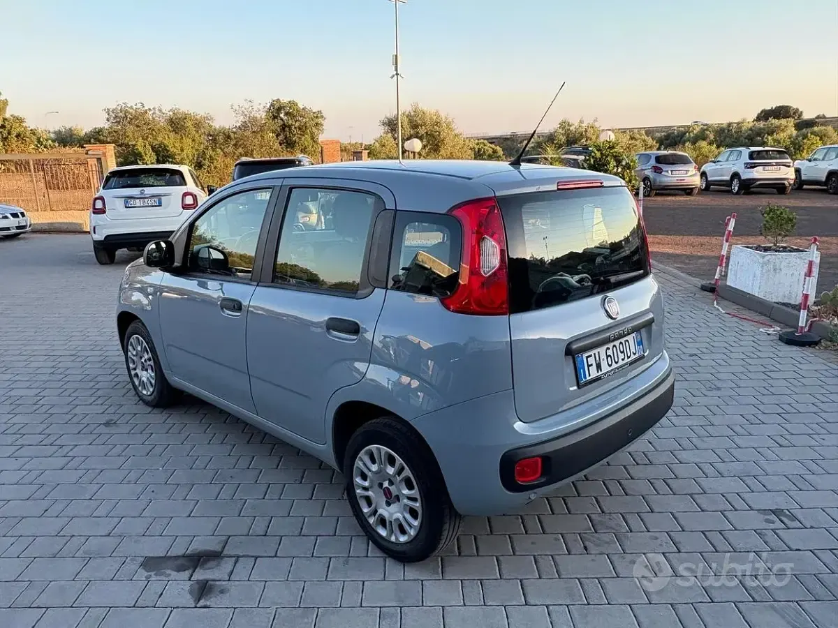 Usata Fiat Panda Easy 69 CV (50 kW) 2019 Grigio Utilitaria