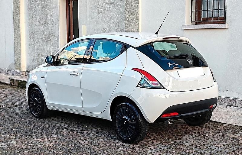 Usata Lancia Ypsilon Gold 69 CV (50 kW) 2015 Bianco Utilitaria