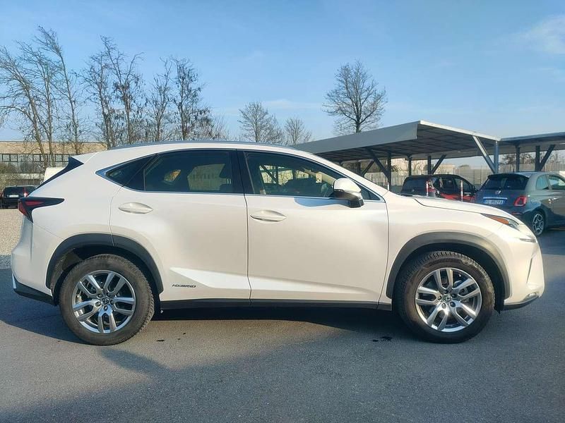 Usata Lexus NX300h Business Edition 155 CV (114 kW) 2019 Perlato SUV