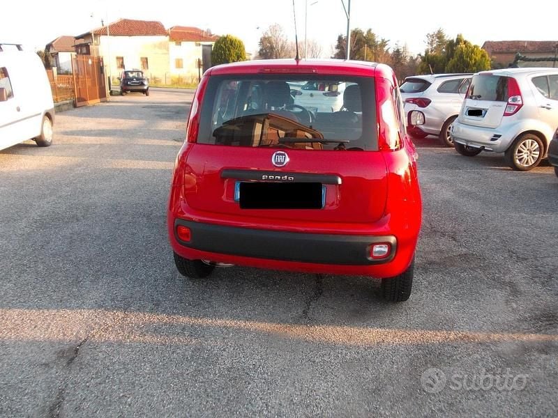Usata Fiat Panda 2019 Rosso Utilitaria