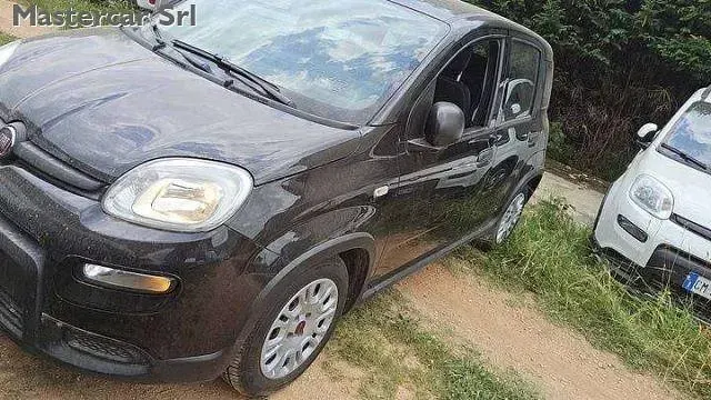 Usata Fiat Panda 69 CV (50 kW) 2023 Argento Utilitaria
