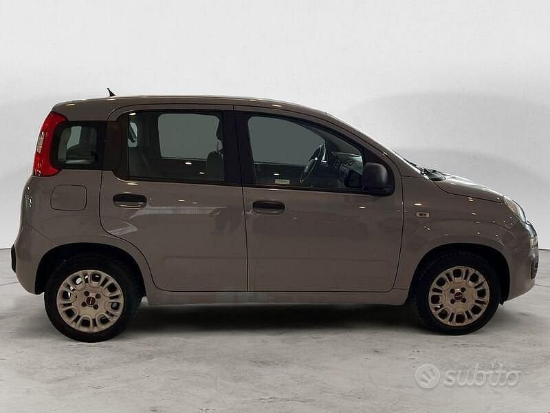 Usata Fiat Panda Easy 69 CV (50 kW) 2018 Grigio Utilitaria