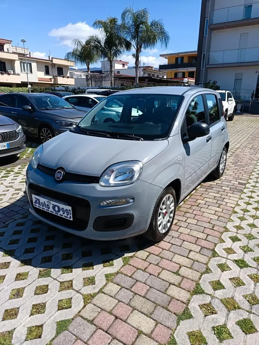 Usata Fiat Panda Easy 69 CV (50 kW) 2018 Grigio Utilitaria