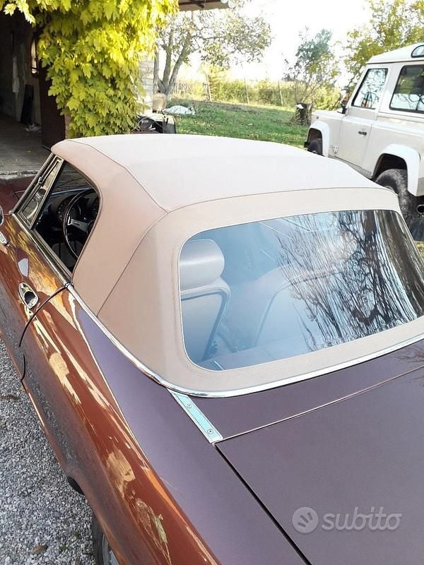 Usata Alfa Romeo Spider 1980 Marrone Cabrio