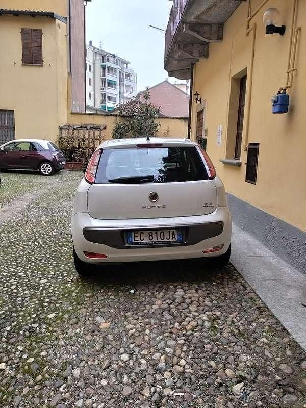 Usata Fiat Punto Evo Dynamic 65 CV (47 kW) 2010 Bianco Utilitaria