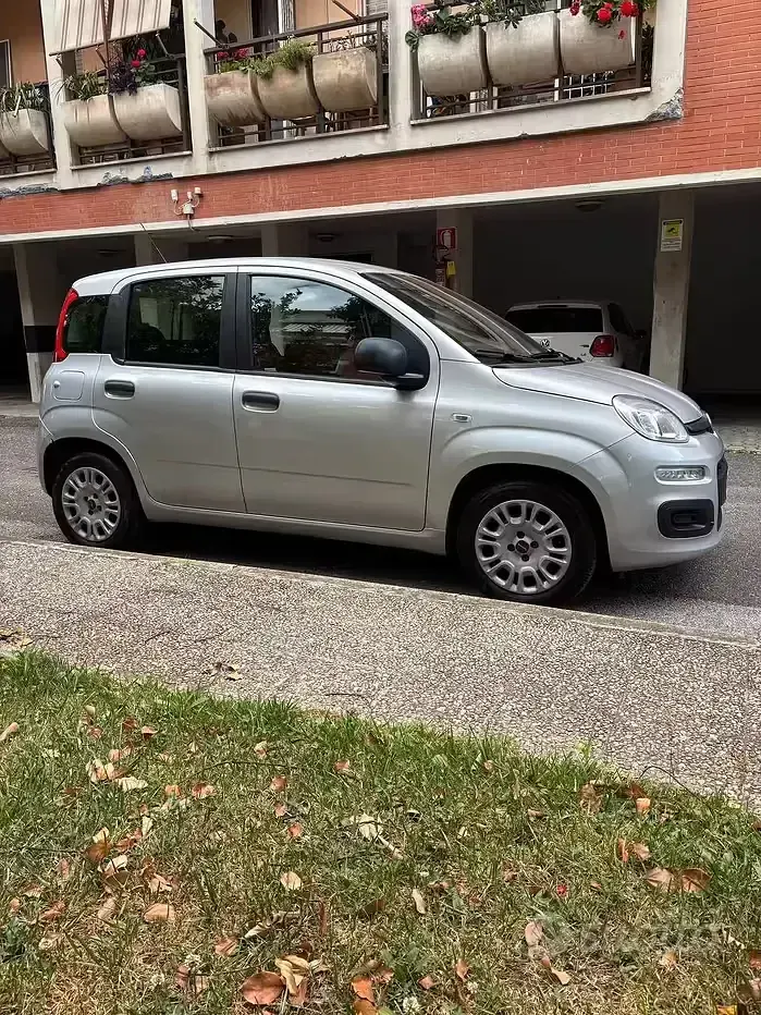 Usata Fiat Panda Easy 85 CV (62 kW) 2017 Grigio Utilitaria