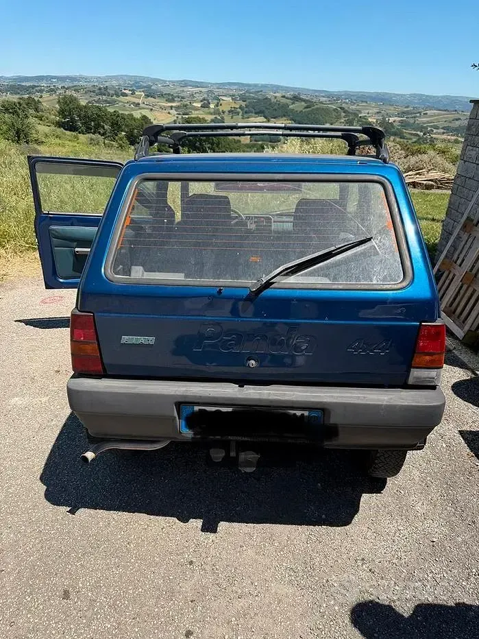 Usata Fiat Panda 4x4 Trekking 54 CV (39 kW) 2001 Utilitaria