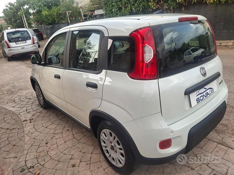 Usata Fiat Panda S 70 CV (51 kW) 2024 Bianco Utilitaria