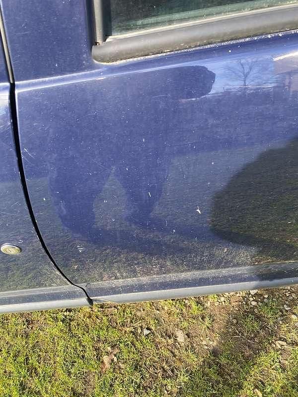 Usata Dacia Logan MCV Ambiance 102 CV (75 kW) 2015 Station wagon