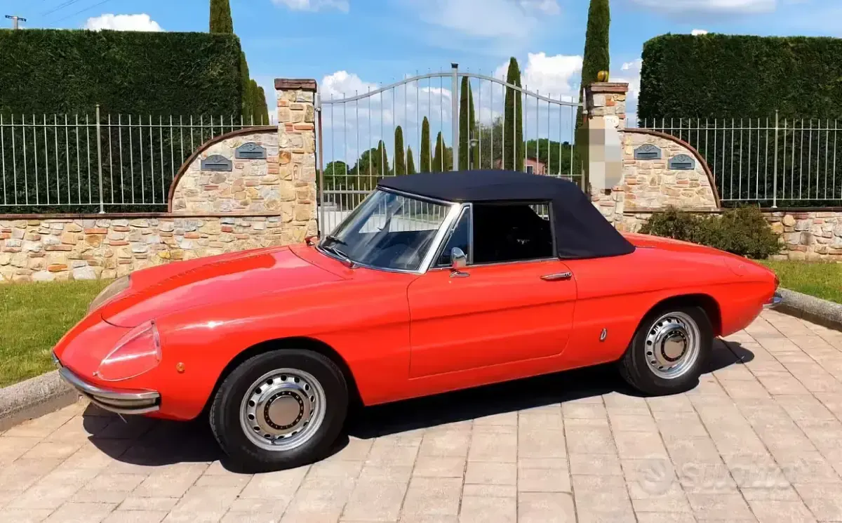 Usata Alfa Romeo Spider 131 CV (96 kW) 1960 Cabrio