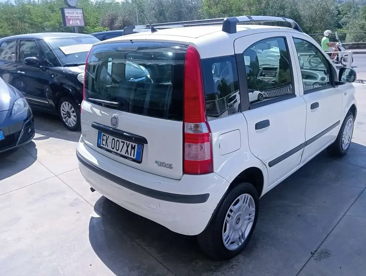 Usata Fiat Panda Dynamic 77 CV (56 kW) 2011 Bianco Utilitaria