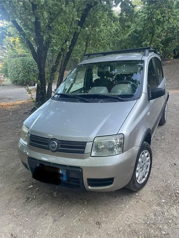 Usata Fiat Panda 4x4 60 CV (44 kW) 2006 Grigio Utilitaria