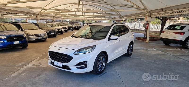 Usata Ford Kuga ST-Line X 120 CV (88 kW) 2021 Bianco SUV