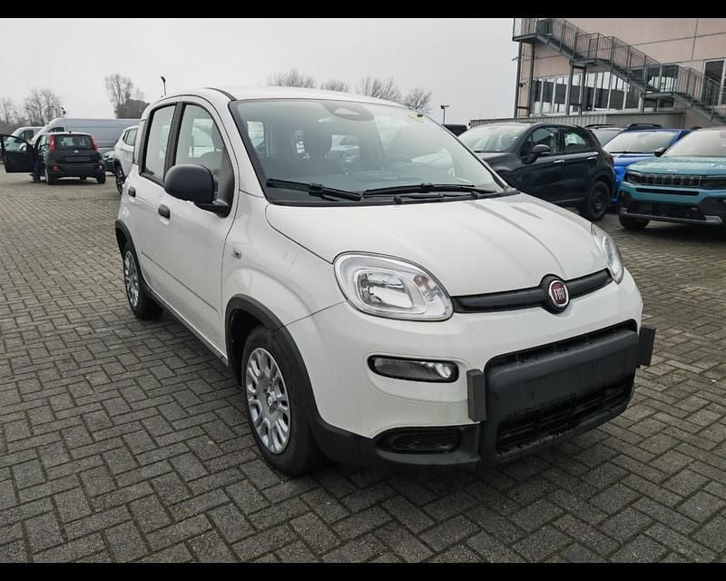 Usata Fiat Panda S 69 CV (50 kW) 2024 Bianco Utilitaria