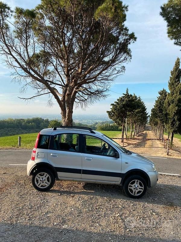 Usata Fiat Panda 4x4 69 CV (50 kW) 2009 Grigio Utilitaria