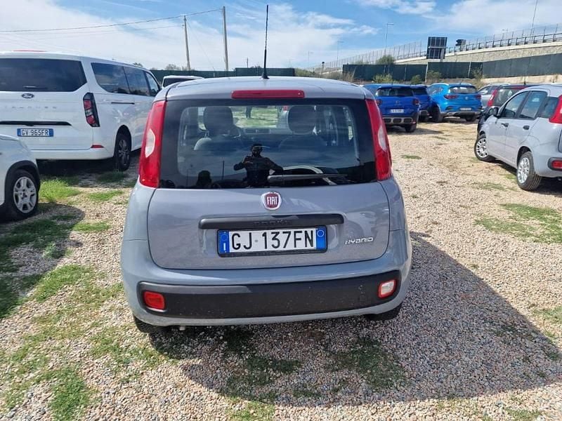 Usata Fiat Panda 70 CV (51 kW) 2022 Grigio Utilitaria