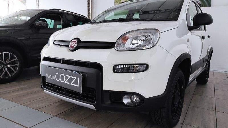 Usata Fiat Panda 4x4 Wild 85 CV (62 kW) 2022 Bianco Utilitaria