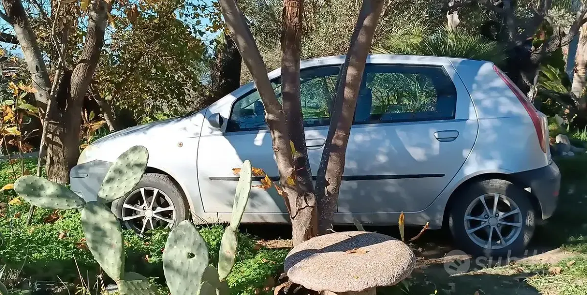 Usata Fiat Punto 69 CV (50 kW) 2007 Grigio Utilitaria
