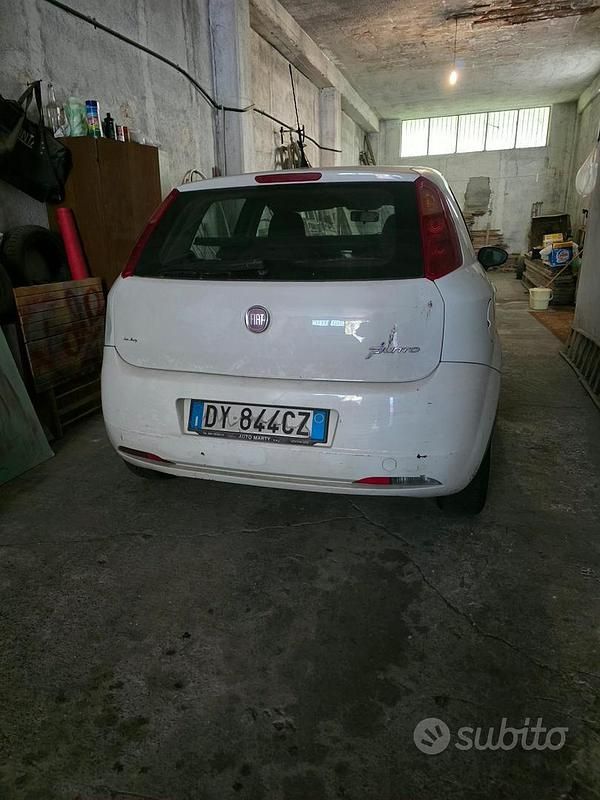 Usata Fiat Punto 77 CV (56 kW) 2009 Bianco Utilitaria