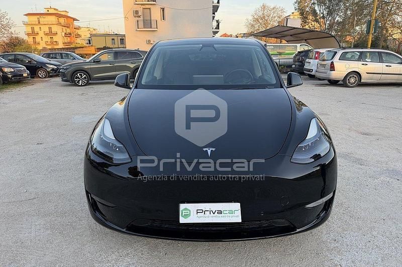 Usata Tesla Model Y Long Range AWD 378 kW (514 CV) 2021 Nero SUV