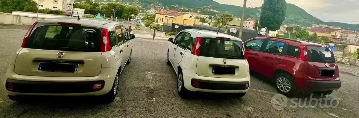 Usata Fiat Panda 75 CV (55 kW) 2015 Bianco Utilitaria