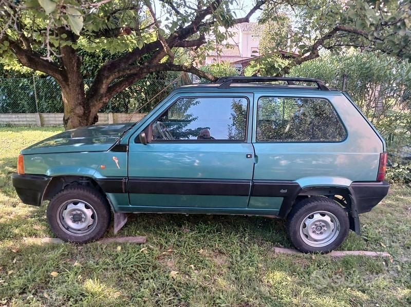 Usata Fiat Panda 4x4 Trekking 54 CV (39 kW) 2002 Verde Utilitaria