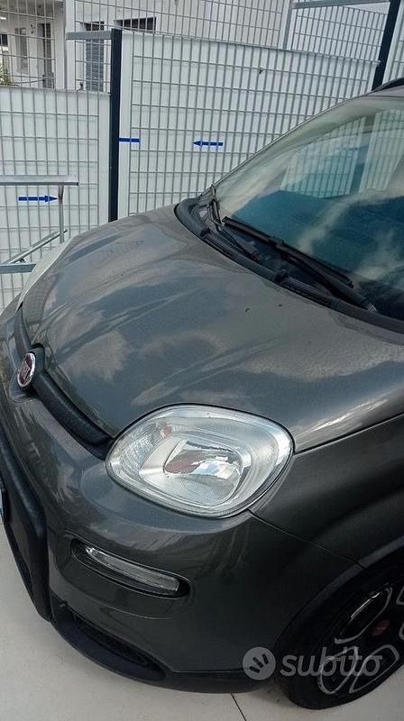 Usata Fiat Panda 69 CV (50 kW) 2021 Grigio Utilitaria