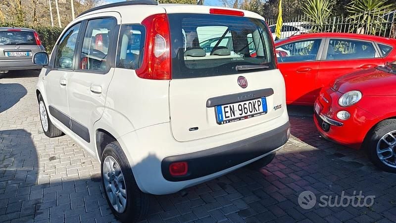 Usata Fiat Panda Easy 80 CV (58 kW) 2012 Bianco Berlina