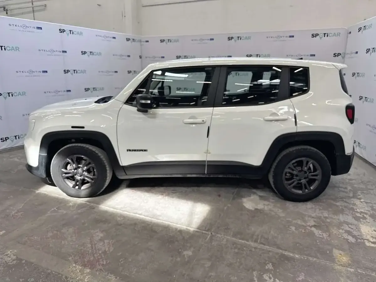 Usata Jeep Renegade Longitude 131 CV (96 kW) 2024 Bianco SUV