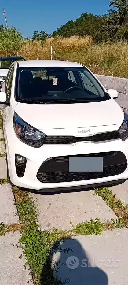 Usata Kia Picanto 65 CV (47 kW) 2023 Bianco Utilitaria