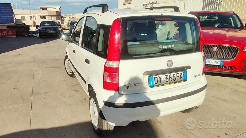 Usata Fiat Panda Dynamic 60 CV (44 kW) 2009 Bianco Utilitaria