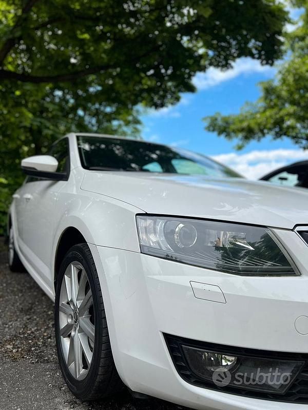Usata Skoda Octavia Active 105 CV (77 kW) 2013 Bianco Berlina