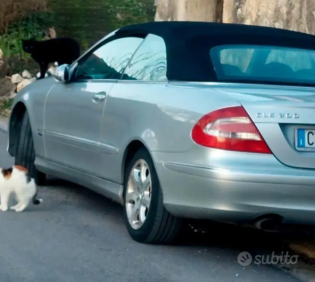 Usata Mercedes CLK200 2003 Grigio Cabrio