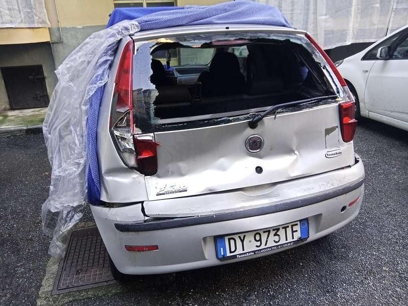 Usata Fiat Punto Active 60 CV (44 kW) 2009 Berlina