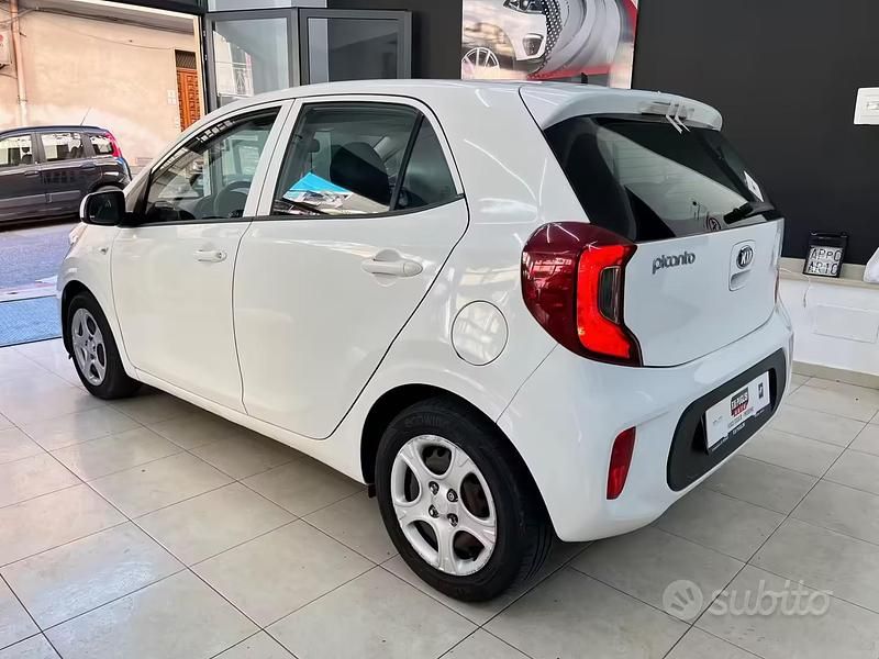 Usata Kia Picanto 65 CV (47 kW) 2019 Bianco Utilitaria