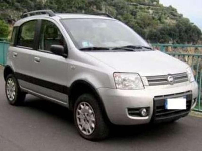 Usata Fiat Panda 4x4 60 CV (44 kW) 2005 Argento Utilitaria
