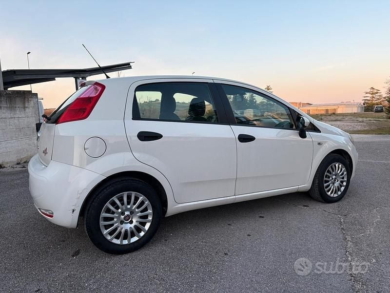 Usata Fiat Punto Evo 75 CV (55 kW) 2015 Bianco Utilitaria