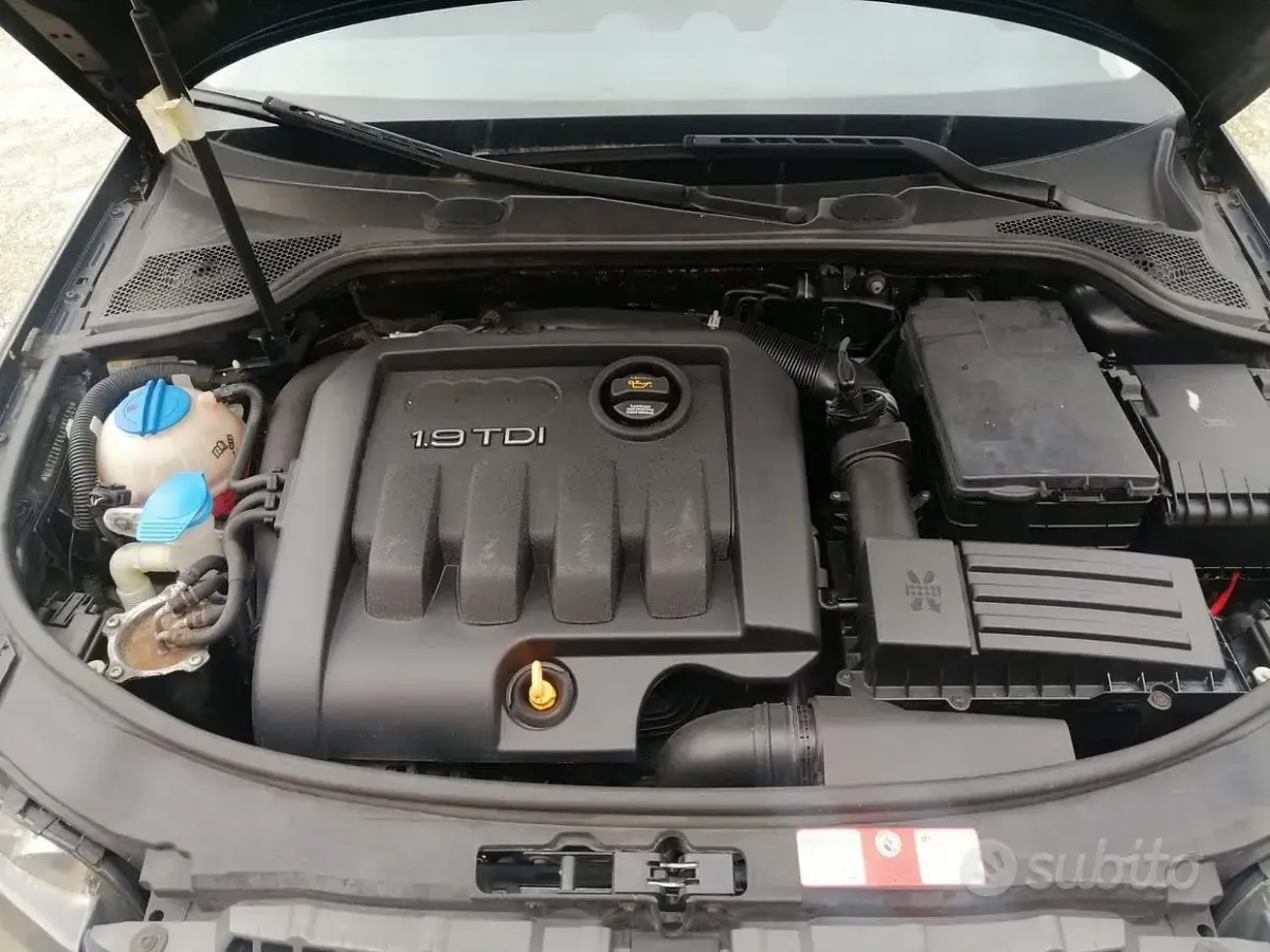 Usata Audi A3 105 CV (77 kW) 2006 Blu Utilitaria