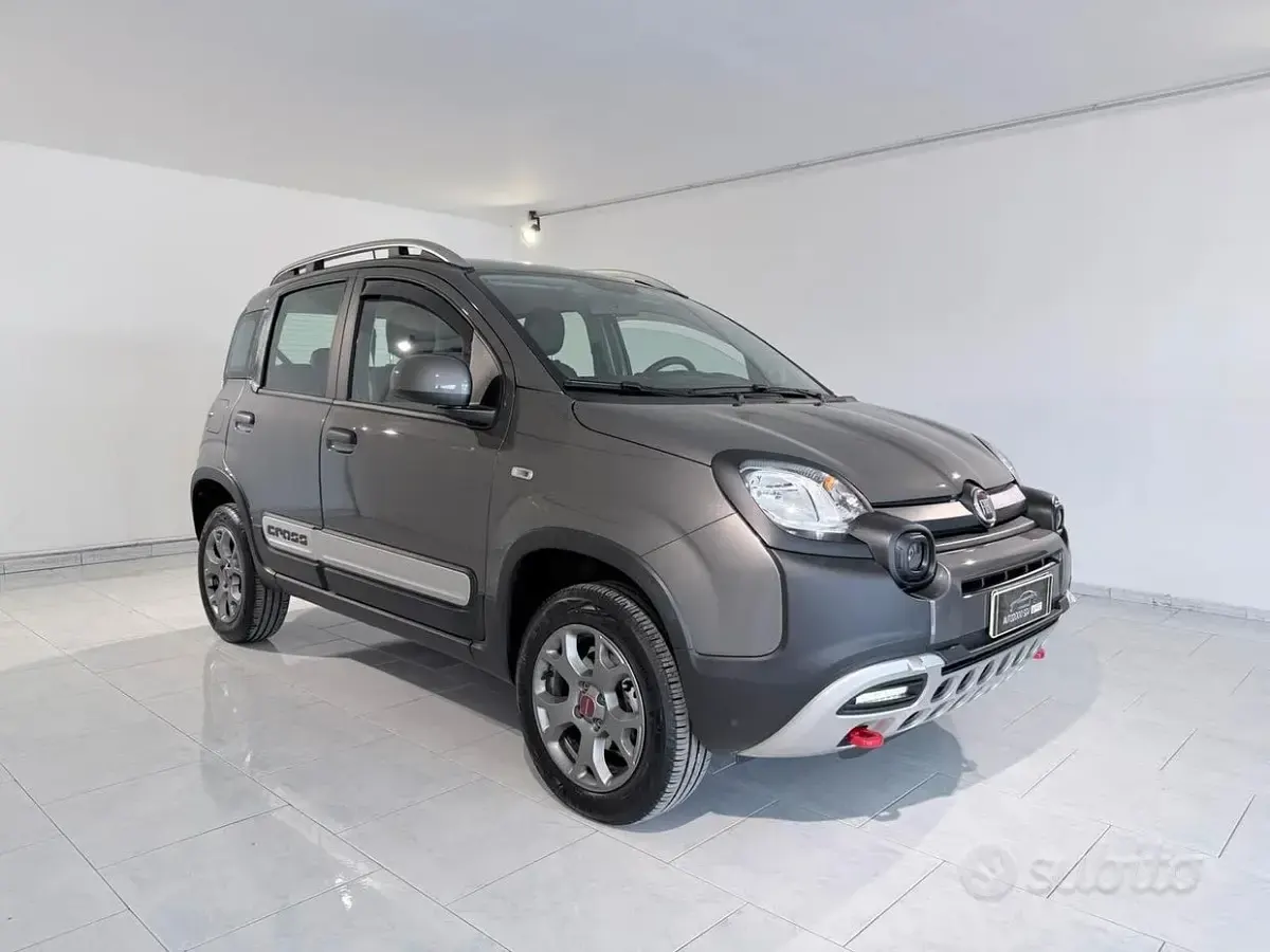 Usata Fiat Panda Cross Cross 85 CV (62 kW) 2021 Grigio Utilitaria