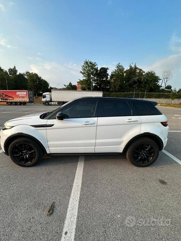 Usata Land Rover Range Rover evoque 150 CV (110 kW) 2017 Bianco SUV