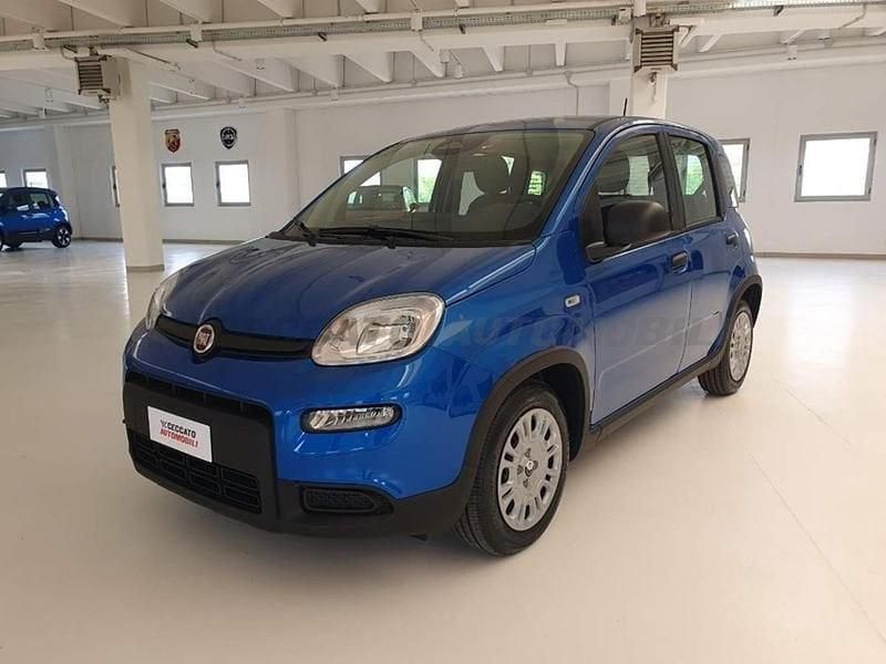 Blu Usata 2024 Fiat Panda | 13.000 € (Buon prezzo) - Immagine 1/4