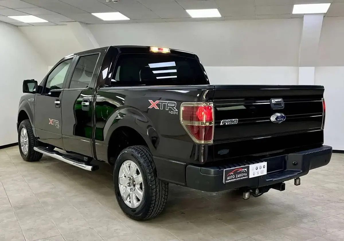 Usata Ford V8 XLT 366 CV (269 kW) 2014 Marrone SUV