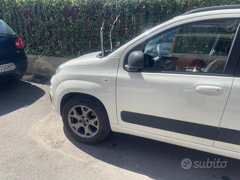 Usata Fiat Panda 85 CV (62 kW) 2014 Bianco Utilitaria