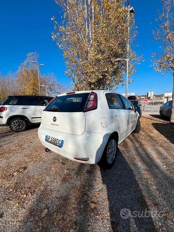 Usata Fiat Punto Lounge 75 CV (55 kW) 2013 Bianco Berlina
