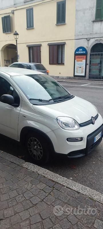 Usata Fiat Panda 2024 Bianco Utilitaria