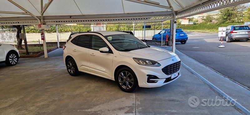 Usata Ford Kuga ST-Line X 120 CV (88 kW) 2021 Bianco SUV