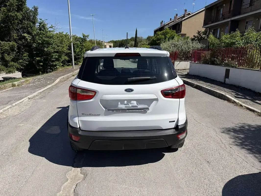 Usata Ford Ecosport S 99 CV (72 kW) 2018 Bianco SUV